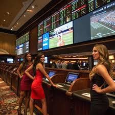 go55 slot platform dashboard showing live casino, slots, and sportsbook sections